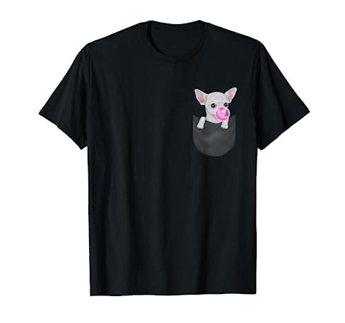Cane chihuahua bianco - (tg.,