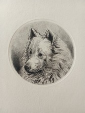 Antica Incisione su Rame -