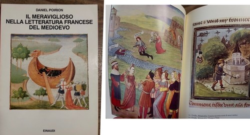 Poiron meraviglioso nella - meraviglioso,