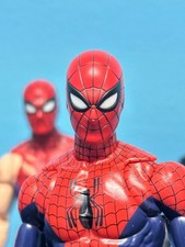 SOLO TESTA Alex Ross Art