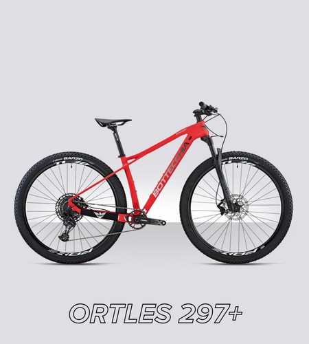Mtb bottecchia carbonio - mtb, bottecchia.