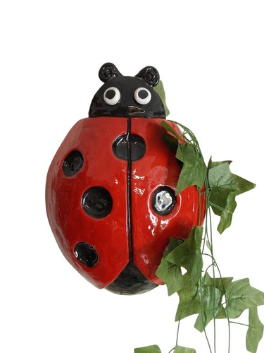 Vaso parete coccinella in - parete,