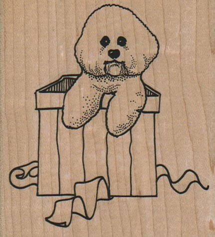 Timbro gomma bichon in - gomma,