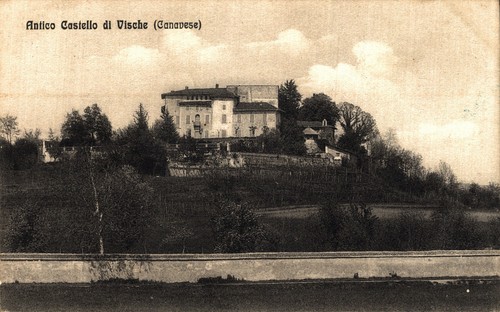 Vische torino castello - -,
