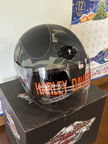 Casco integrale