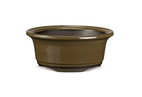 Certrè vaso per bonsai - -,