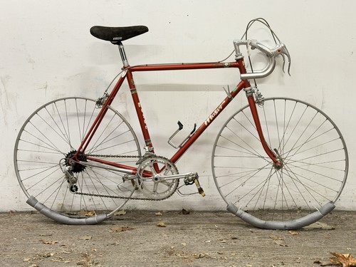 Moser rara bici - rara, da
