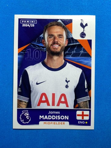 Panini sticker premier league - premier,