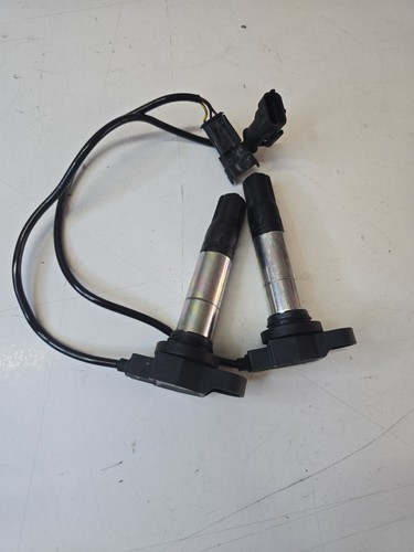 Coppia bobine eldor - coppia,