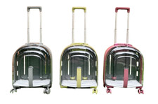 Valigia trolley trasparente
