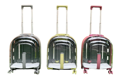 Valigia trolley trasparente