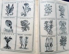 HERBARIO NUOVO 1585 anastatica  tiratura limitata n.410/1000-Video Volume