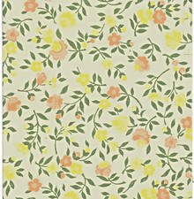 15 fogli carta di varese 90 gr