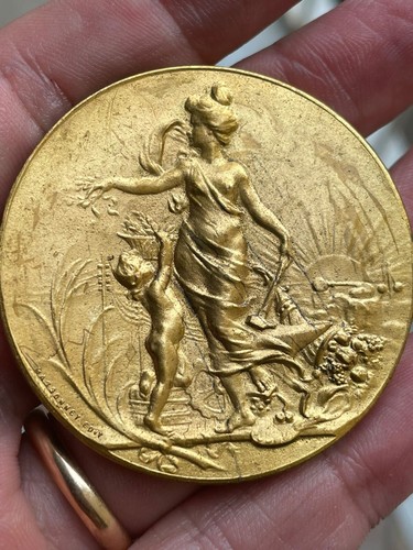 Placca medaglia uniface - placca,