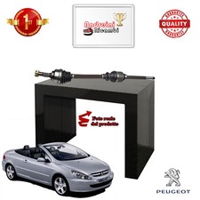 SEMIASSE ANTERIORE DESTRA