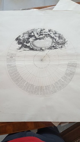 Polo meridionale australe