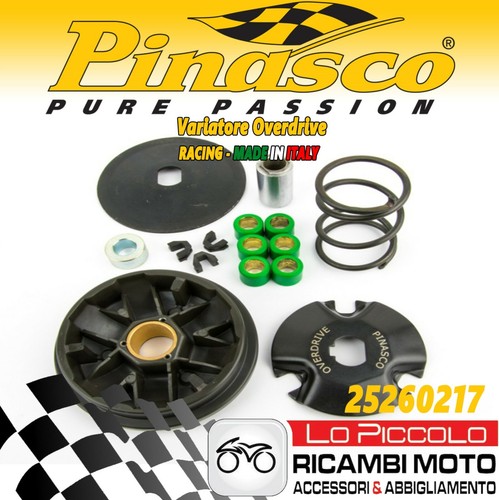 25260217 kit variatore pinasco - kit,