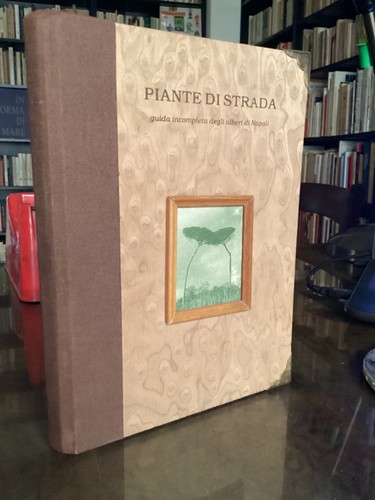 Piante strada guida - strada,