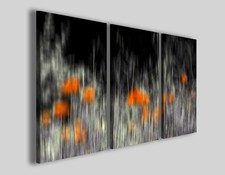 Quadri fiori art 92 stampe moderne