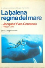 Balena regina del mare - balena,