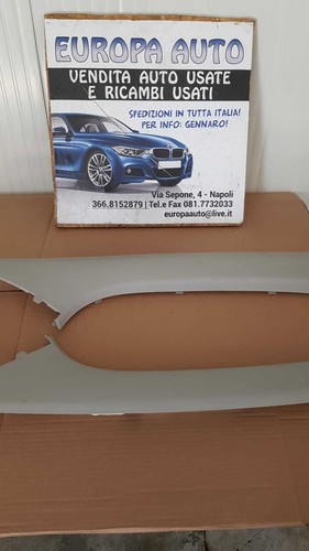 Plastica piantoni renault - plastica,