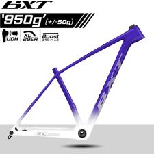 Telaio bici BXT fibra di