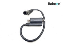 Bobina Aprilia ETV 1000