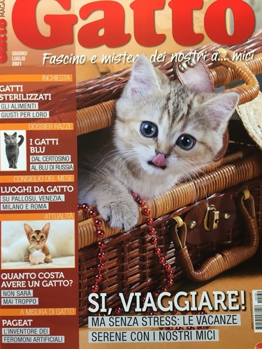 Gatto magazine 2021 - gatto,