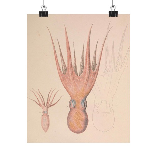 Poster verticale opaco