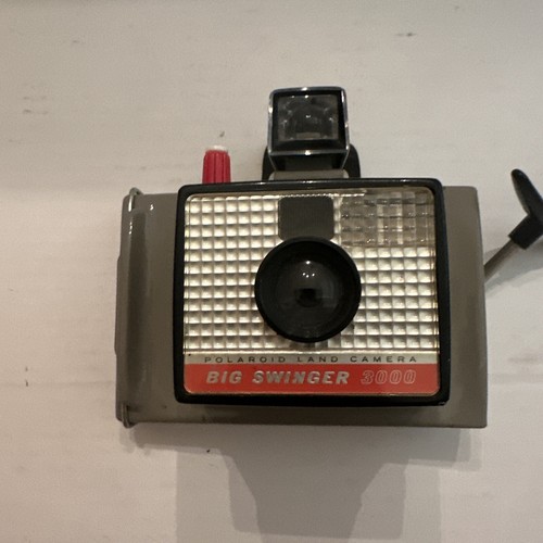 Polaroid big swinger - polaroid, land