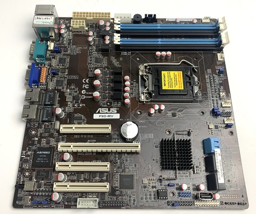 Asus scheda madre - asus,