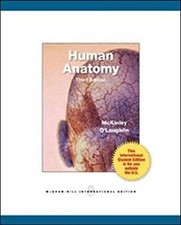 Human Anatomy Paperback