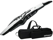 ROLAND AE-20 Aerofono Bianco