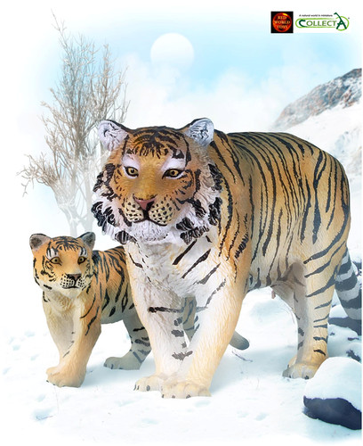 Siberian tiger and cub - tiger,