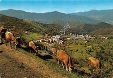 Cartolina Santo Stefano d'