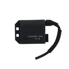 CENTRALINA DUCATI SUZUKI 50