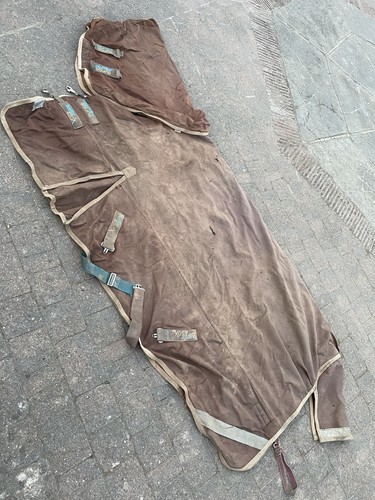 Piedi 450 premier equine - 6,