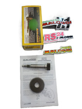 INGRANAGGI RAPPORTO PRIMARIO