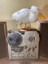 AKAI GX‐215D