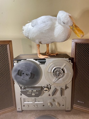 Akai 215d - akai, gx‐215d
