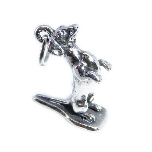 Ciondolo argento sterling - ciondolo, in