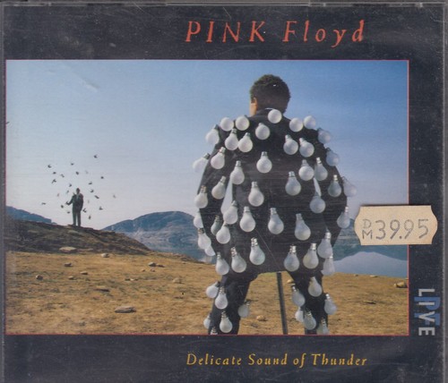 Pink floyd delicate - sound, of