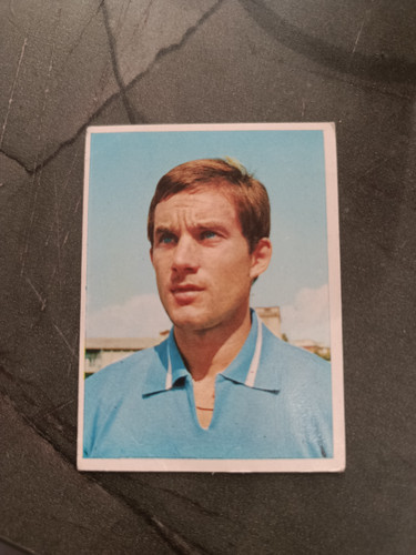 1966 imperia calciatori - imperia,