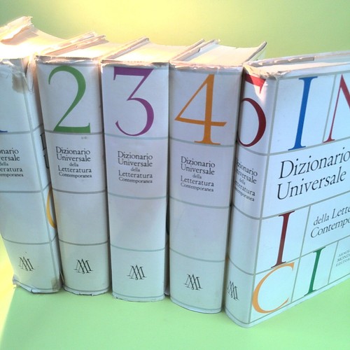 Dizionario universale della - dizionario,