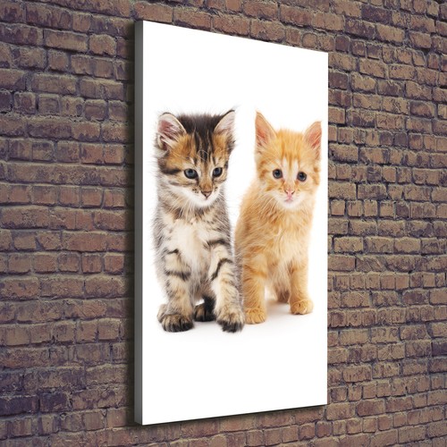 Tulup stampa tela wall art - stampa,