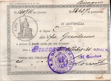 Permesso di portodarmi per