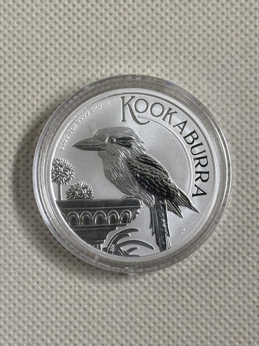 2022 kookaburra australiano - kookaburra,