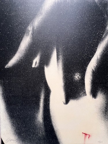Omar galliani litografia - omar,