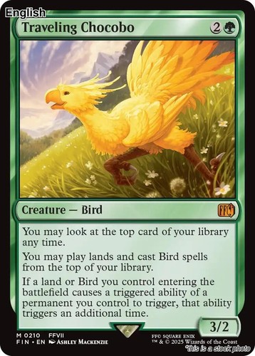 Chocobo viaggio fin - chocobo, [fin