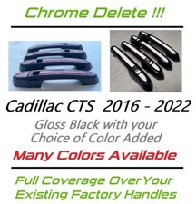 Custom Black & Color Door